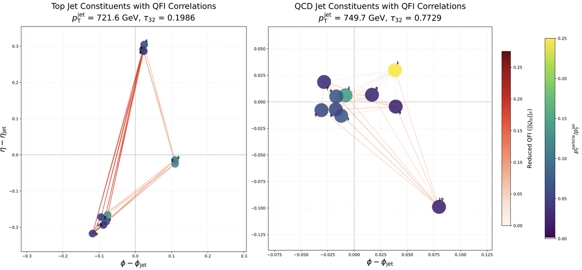 Visualisierung der QFI-Korrelationen von Top- und QCD-Jet-Bestandteilen in einem physikalischen Diagramm.